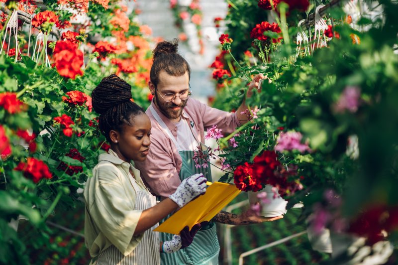 Créer un site web pour jardinier - Domino Com